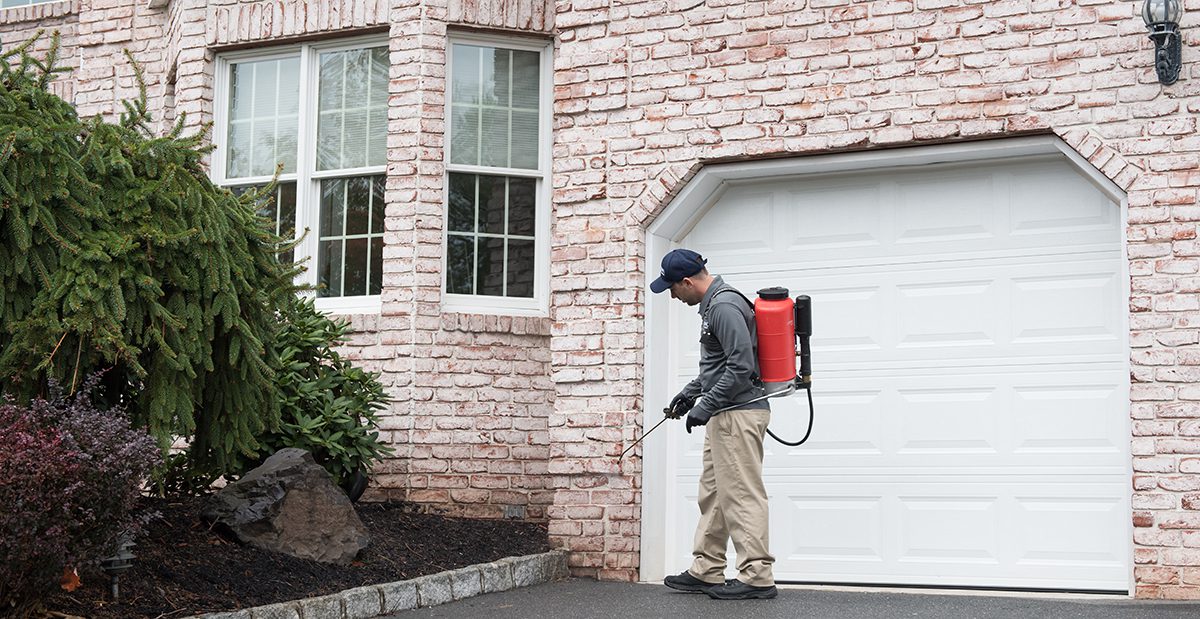 Viking Pest Control Tech Spraying Outside of Home