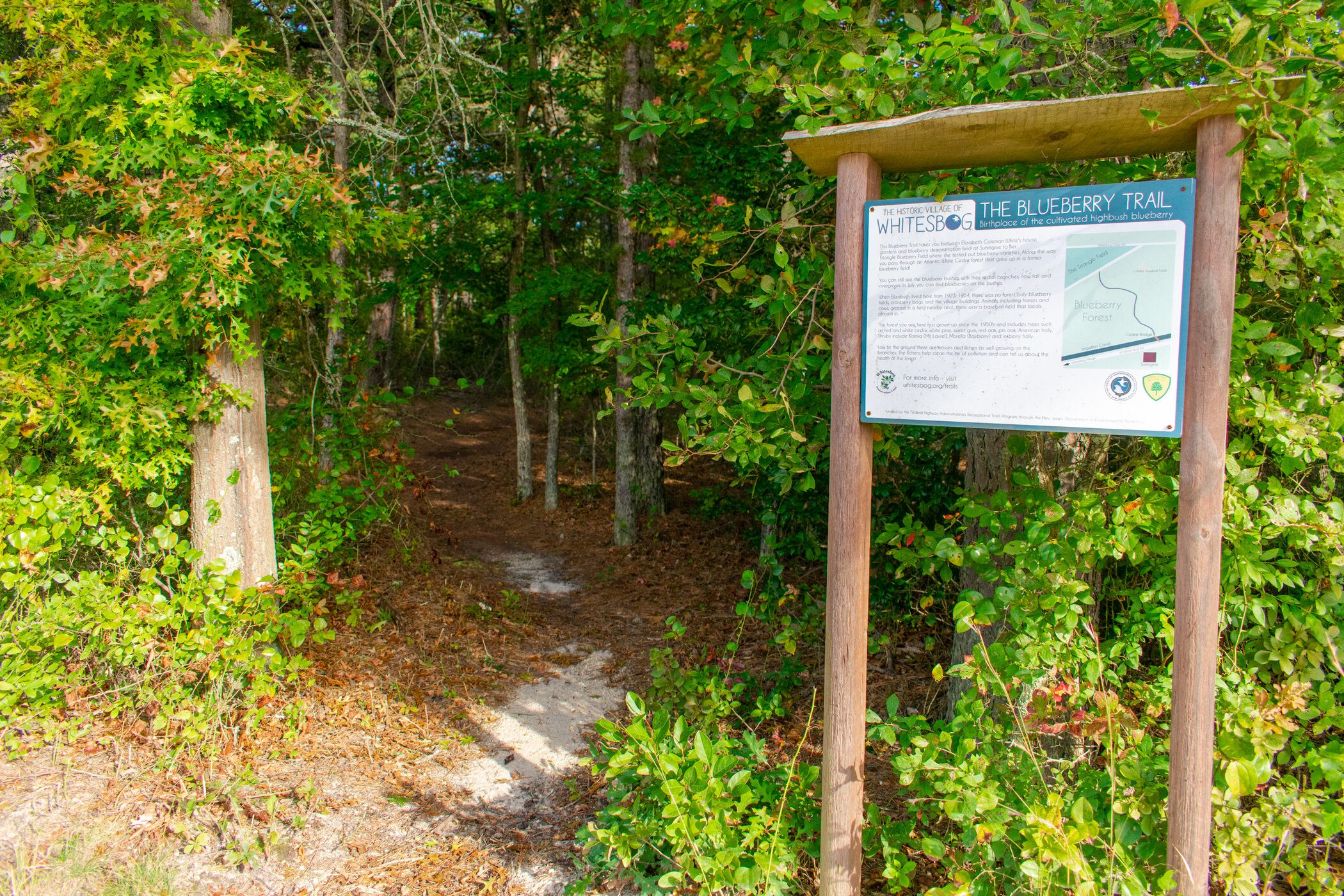 Blueberry Trail