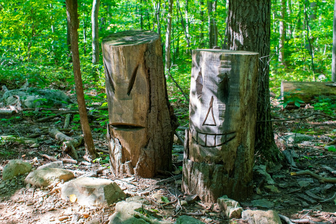 Decorated Tree Stumps