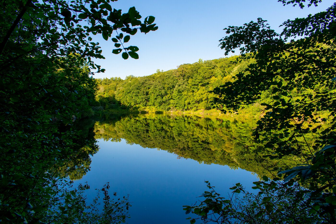 Ringwood State Park Pond