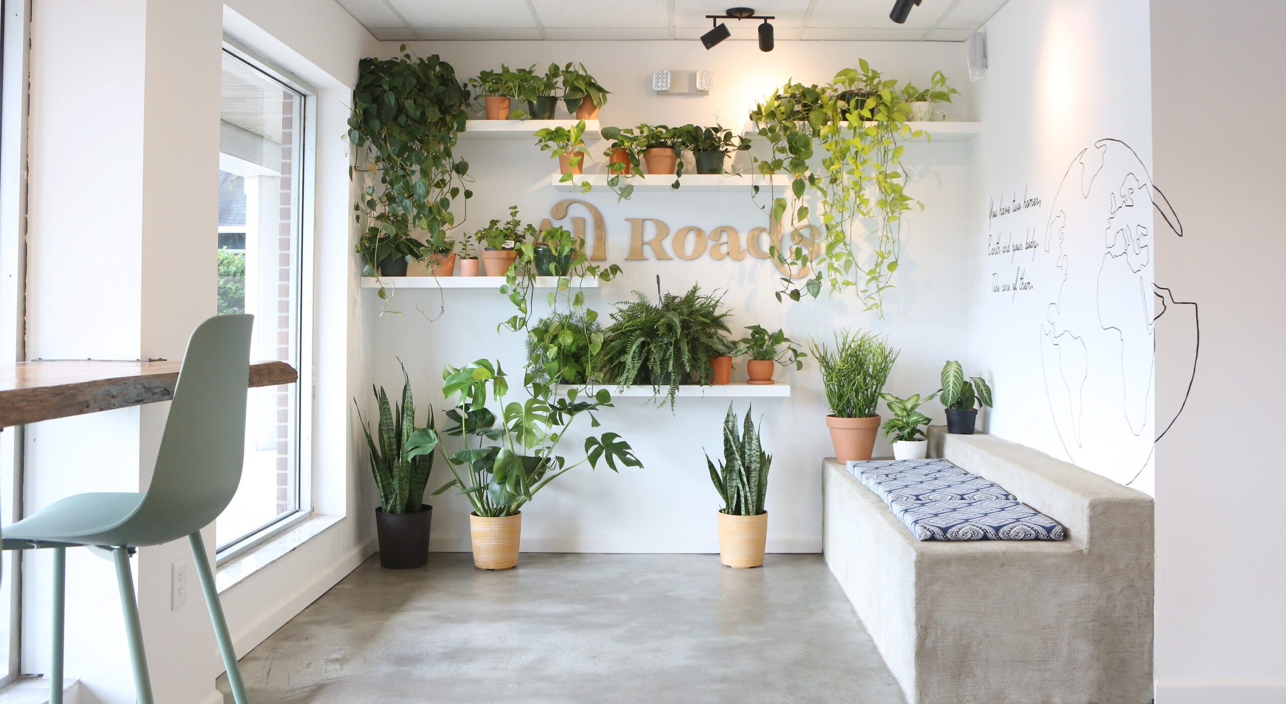 All Roads Vegan Bakery Plant Display