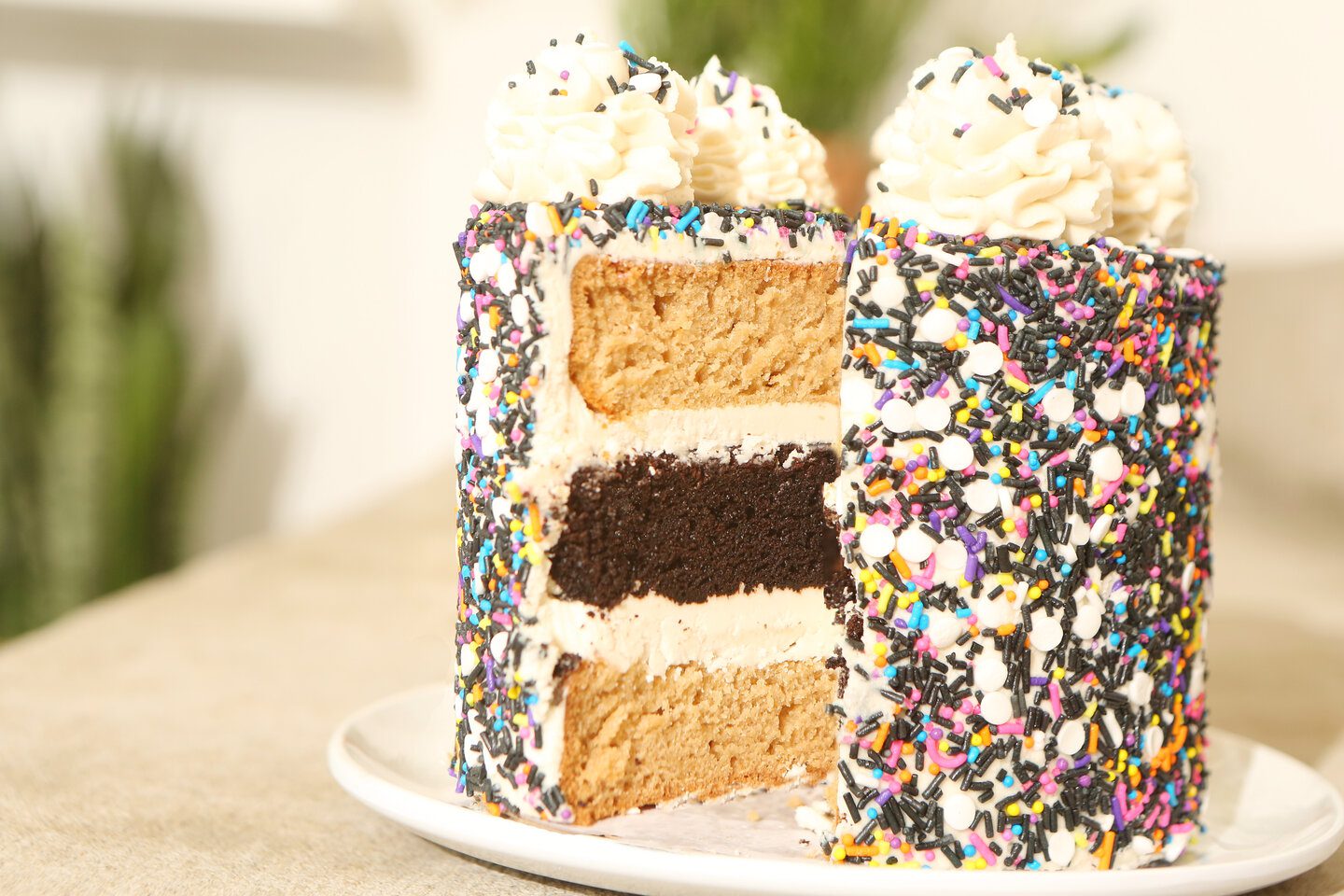 Cake with Sprinkles