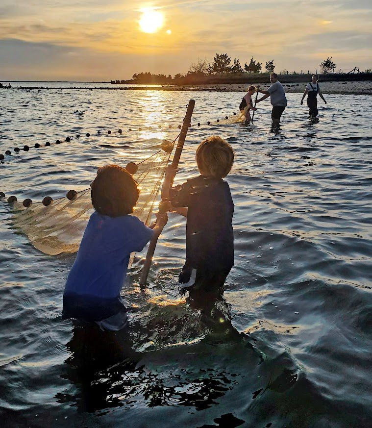 sunset seining sandy hook nj - American Littoral Society