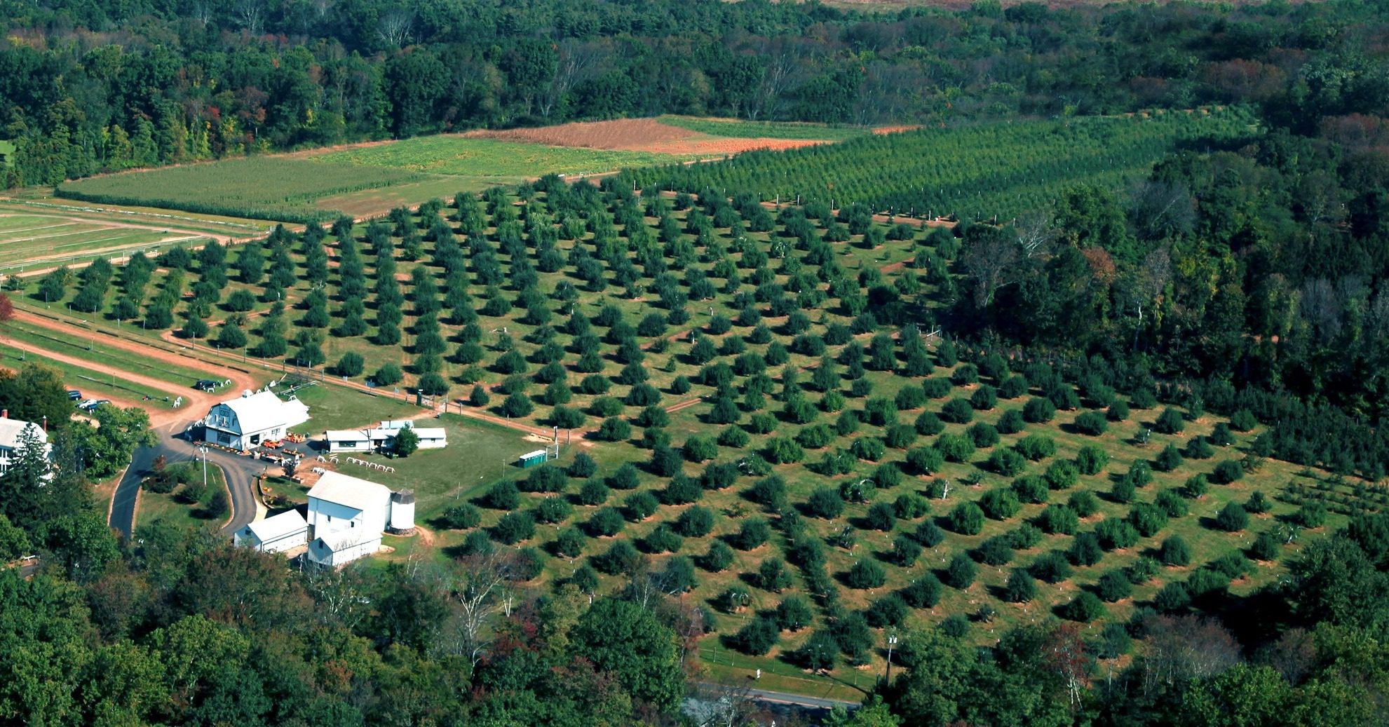 Riamede Farm Aerial View