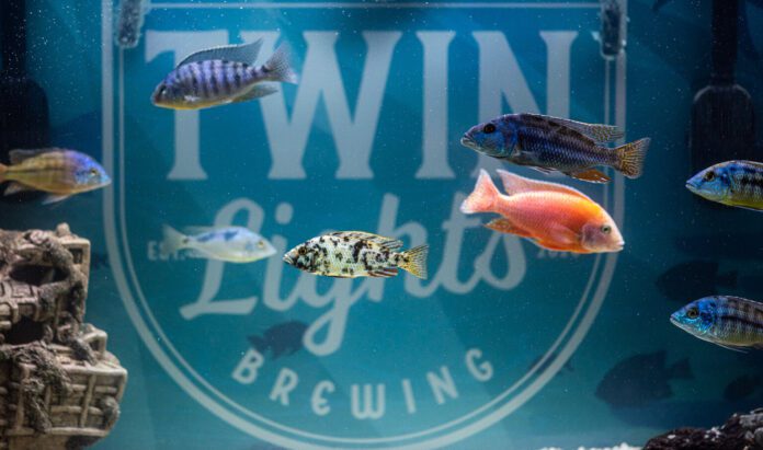 Twin Lights Brewing Fish Tank