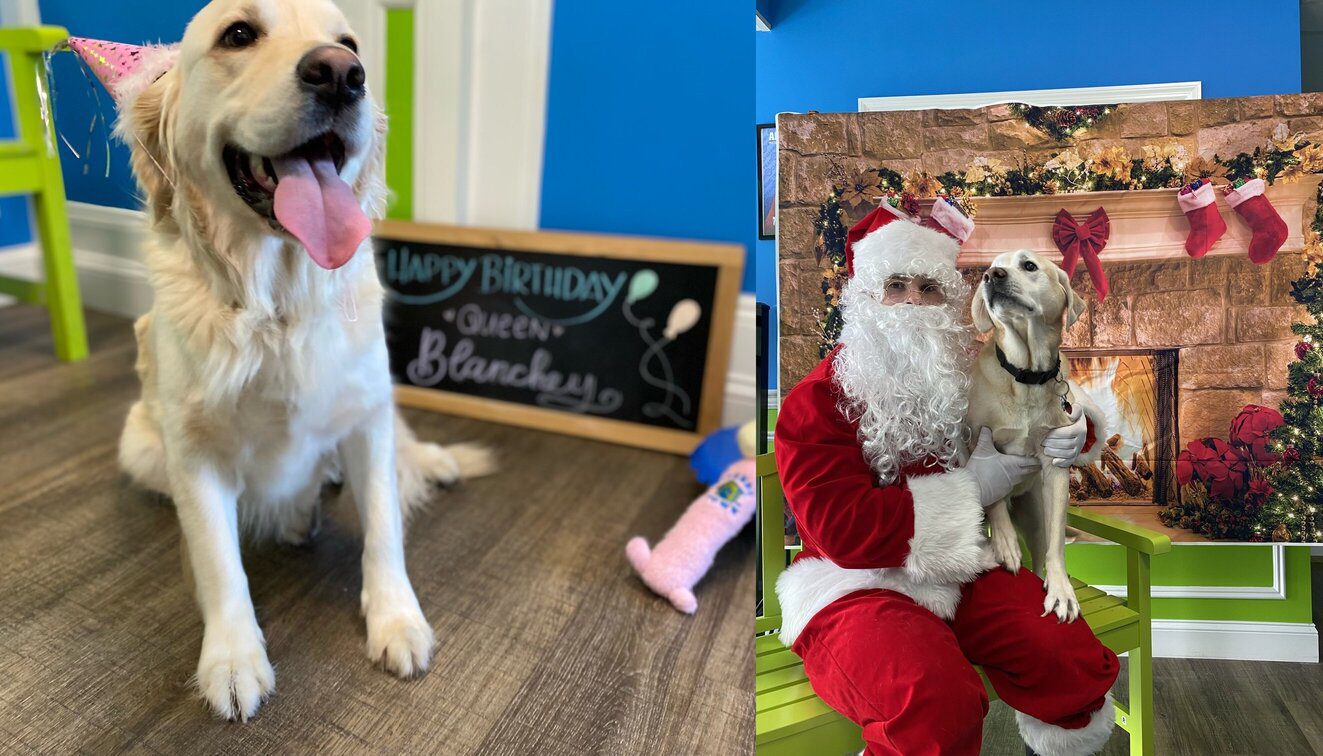 Birthday Girl and Santa