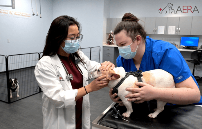 Best emergency cheap vet hospital