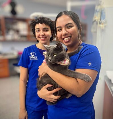 Holding a healthy cat