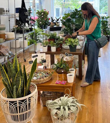 Shopping for Plants
