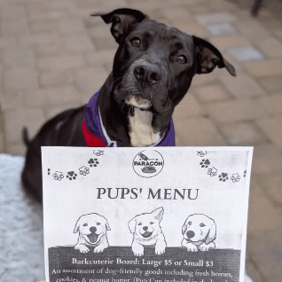 Paragon Tap & Table Patio dining with puppy